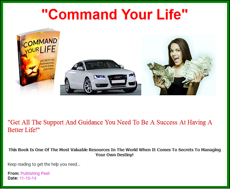 COMMAND YOUR OWN LIFE BANNER-2 SMALLER